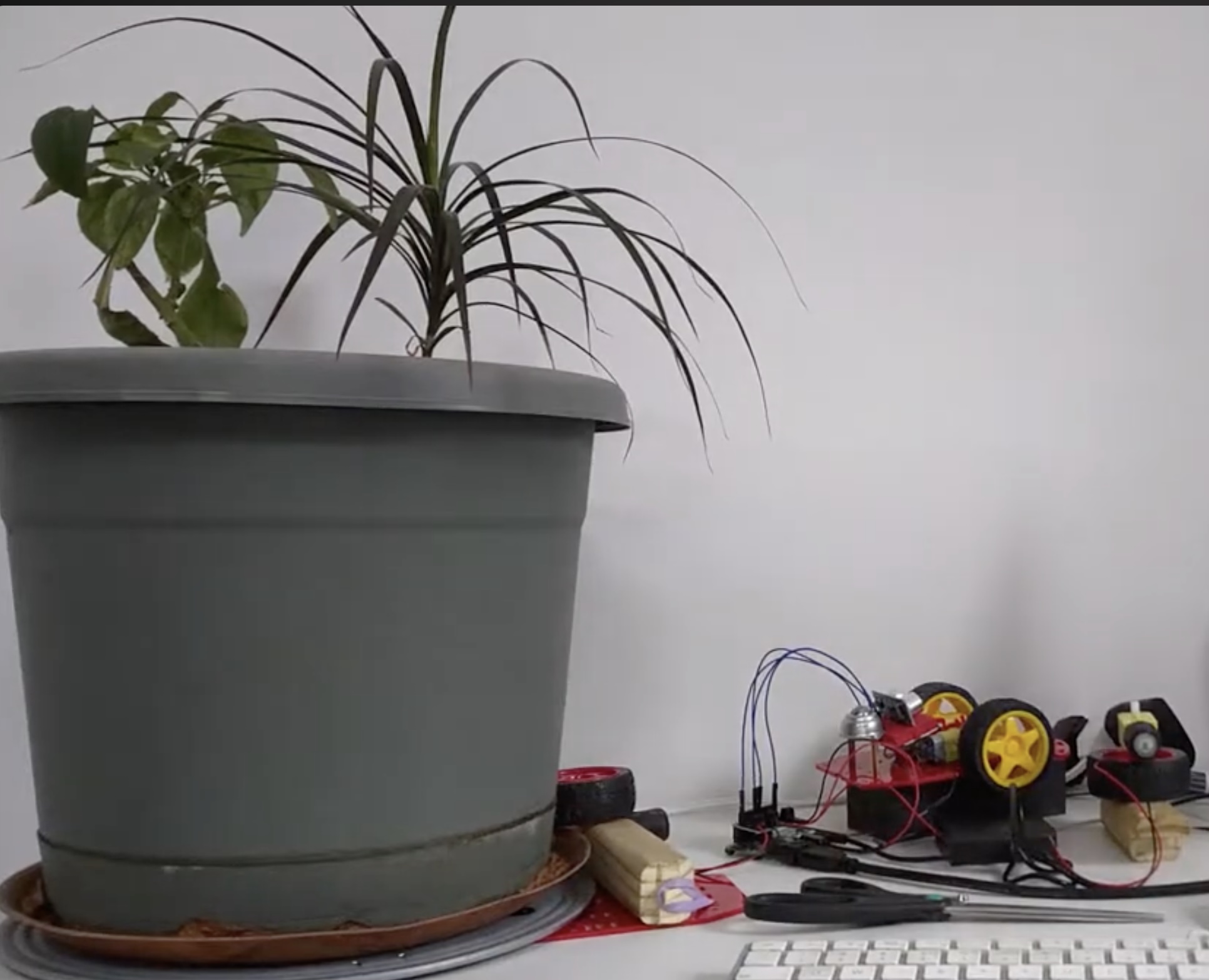 Plant Spinner Prototype, I had a motion sensor so the plant would move when you walked by. Still a fun idea!